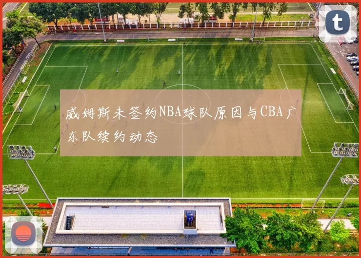 威姆斯未签约NBA球队原因与CBA广东队续约动态